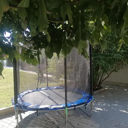 Pensiune Vecas *
